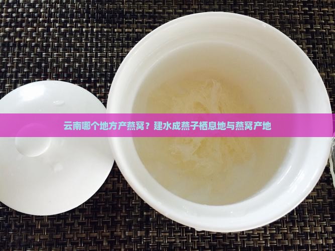 云南哪个地方产石燕窝