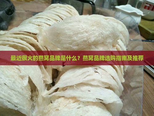 最近很火燕窝品牌是什么