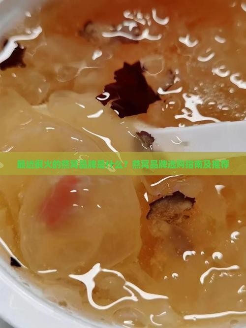 最近很火燕窝品牌是什么