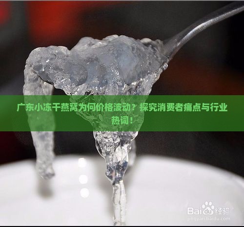 广东小冻干燕窝多少钱