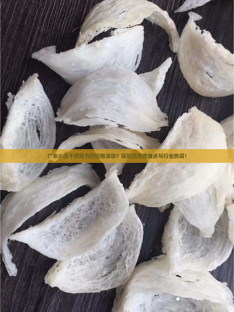广东小冻干燕窝多少钱