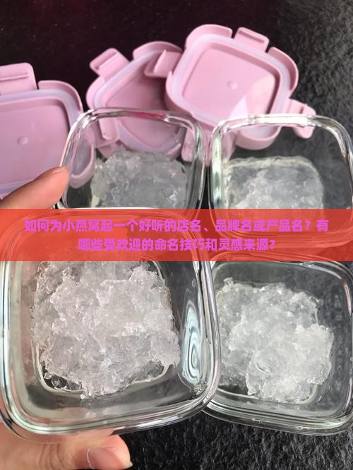 小燕窝名字怎么起好听
