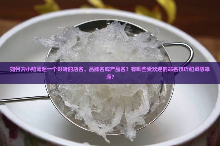 小燕窝名字怎么起好听
