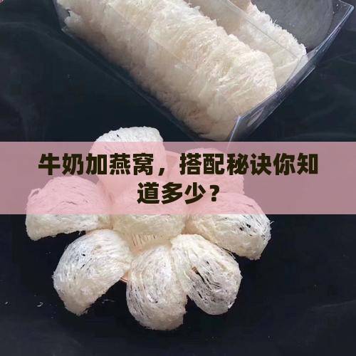 燕窝即食怎么兑牛奶喝好