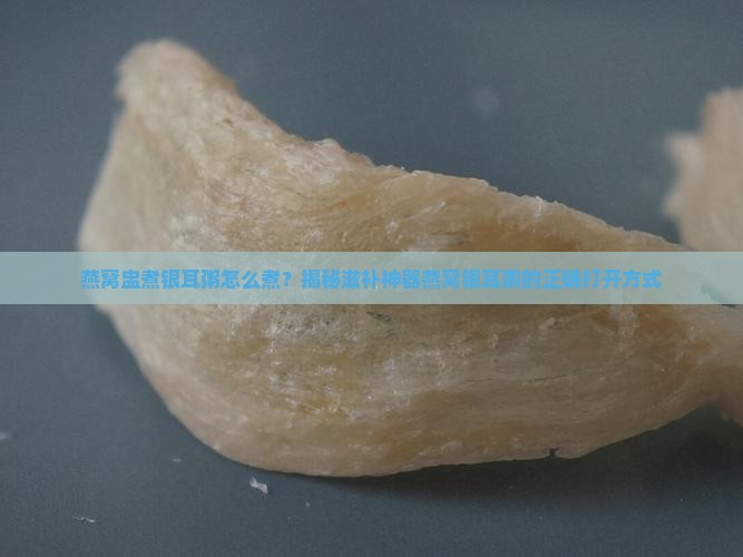燕窝盅煮银耳粥怎么煮 燕窝盅煮银耳粥怎么煮