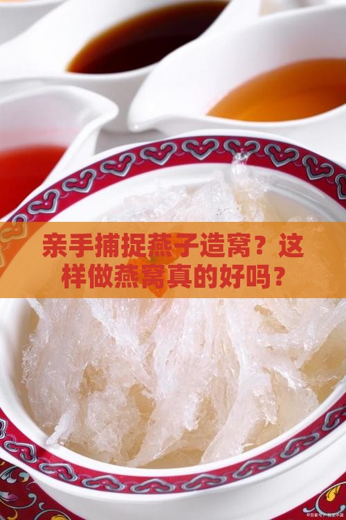 抓燕子做燕窝好吗怎么做