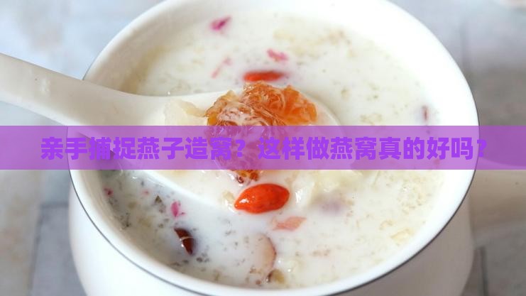 抓燕子做燕窝好吗怎么做