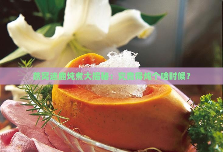 迷鹿炖锅煮燕窝要多久
