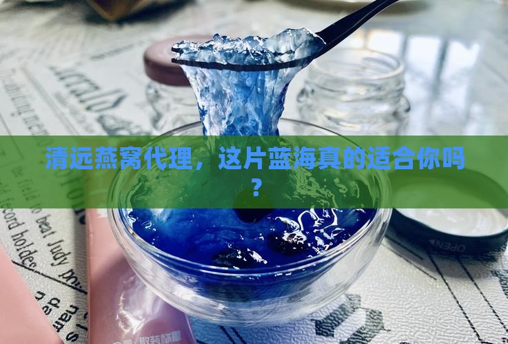 清远燕窝代理前景如何样 清远燕窝代理前景如何样