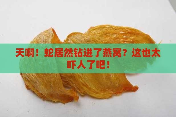 蛇怎么爬进燕窝里去了