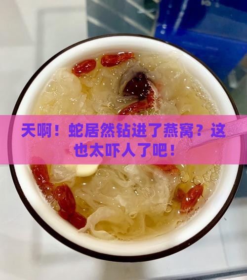 蛇怎么爬进燕窝里去了