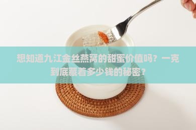 九江金丝燕窝多少钱一克