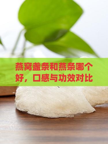 燕窝盏条和燕条哪个好