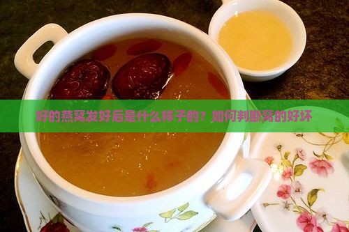 发好的燕窝是什么样子的