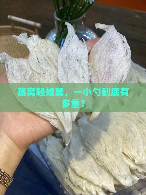 一个燕窝大概是多少重量