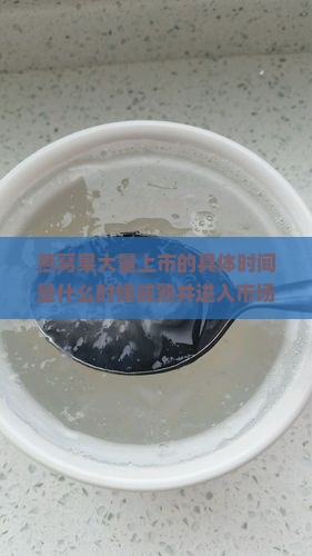 燕窝果什么时候大量上市