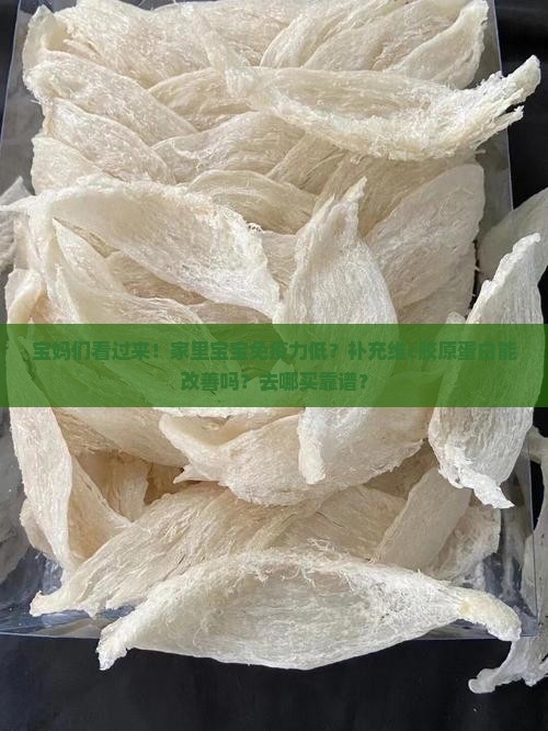 燕窝维生素c胶原蛋白哪里有卖