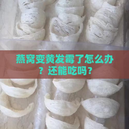 燕窝发黄发霉了怎么处理