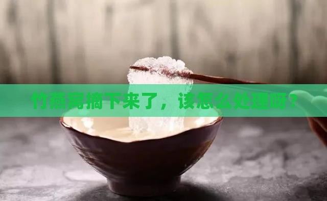 竹燕窝摘下来都怎么处理