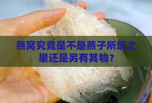 燕窝是燕子的窝还是什么