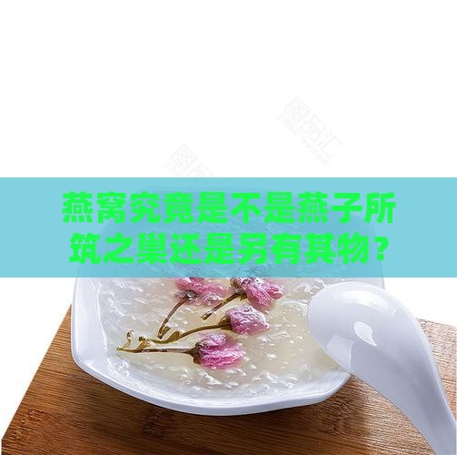 燕窝是燕子的窝还是什么
