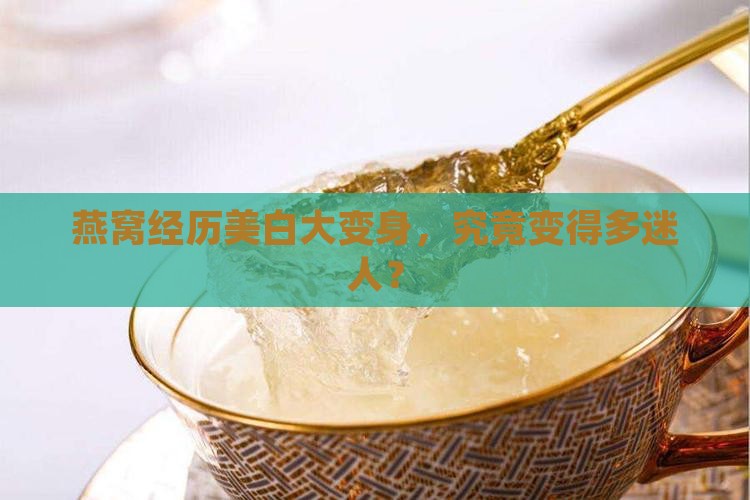 漂白的燕窝长什么样子