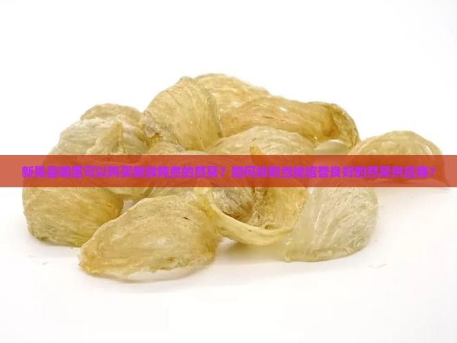 新晃县鲜炖燕窝在哪里有
