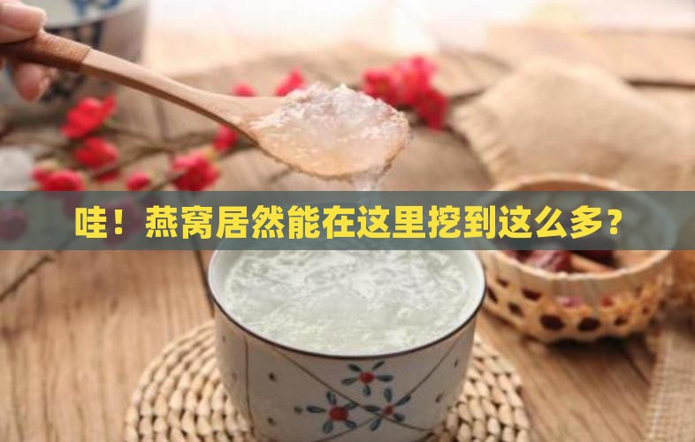 燕窝在哪里取的最多呢