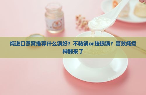炖进口燕窝推荐什么锅好