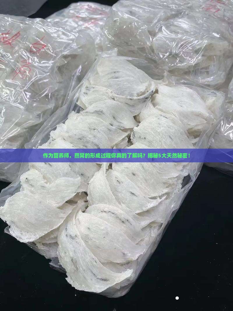 燕窝是怎么生成的原理