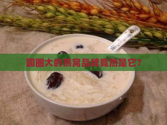 圆圈大的燕窝品牌是什么