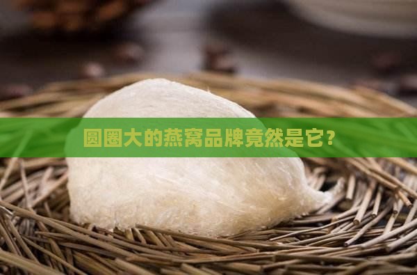 圆圈大的燕窝品牌是什么