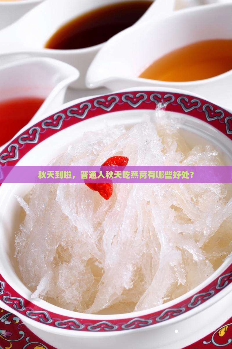 哪个季节适合喝燕窝养生