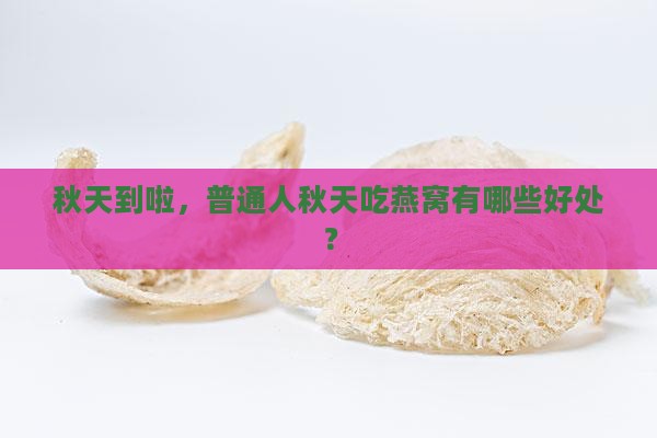 哪个季节适合喝燕窝养生