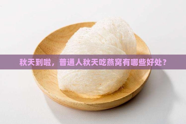哪个季节适合喝燕窝养生