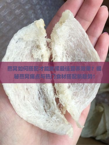 燕窝由什么弄成的最好