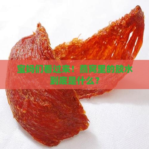 燕窝用的什么胶水粘的多
