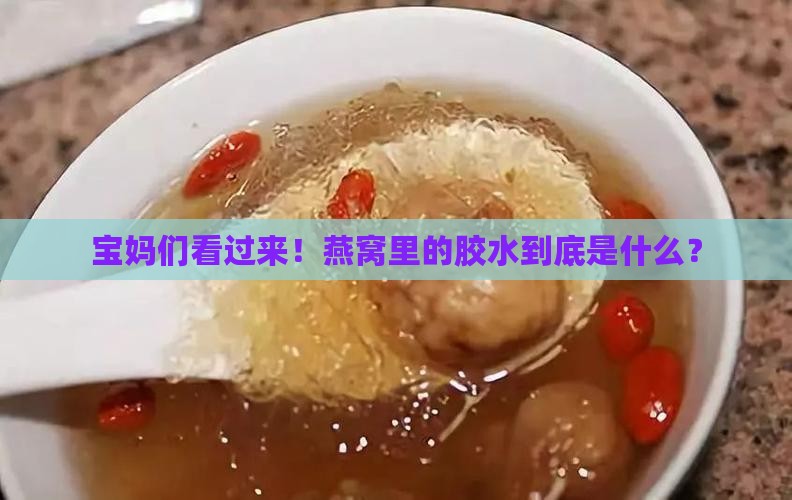 燕窝用的什么胶水粘的多
