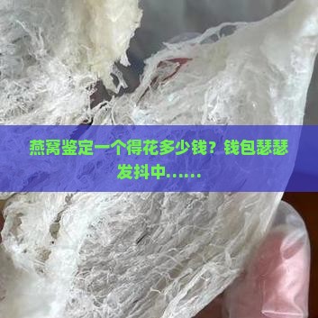 燕窝鉴定需要多少钱一个