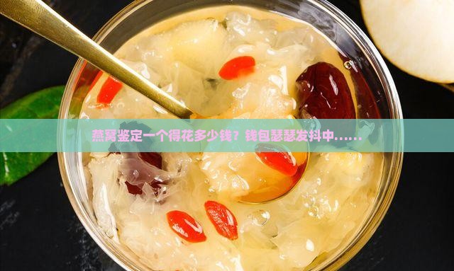 燕窝鉴定需要多少钱一个