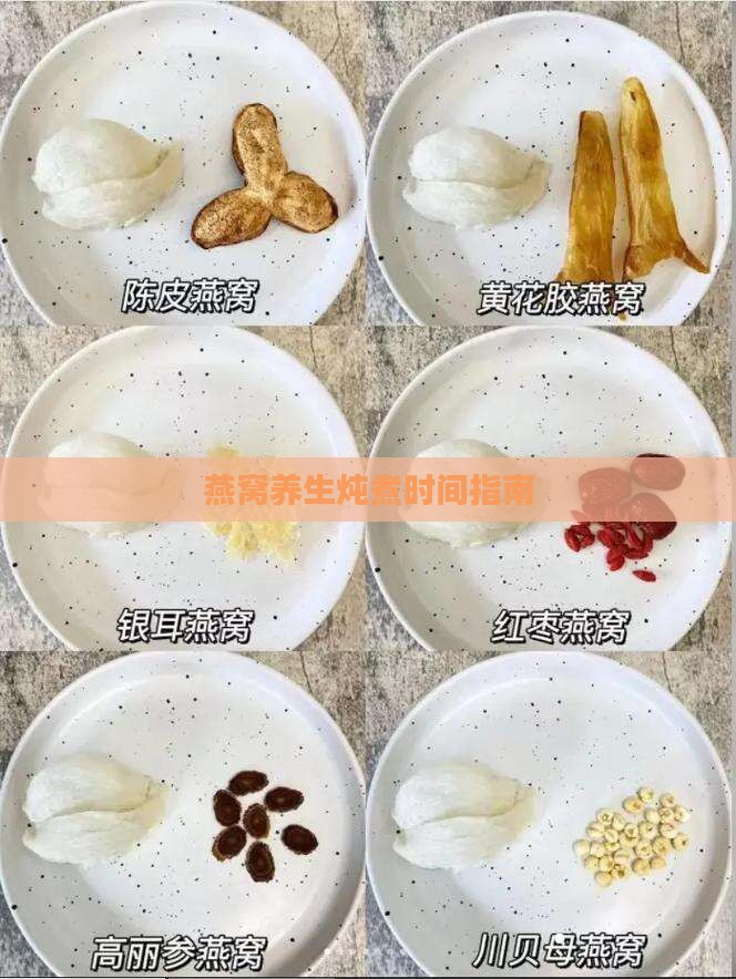 燕窝自动养生壶煮多久