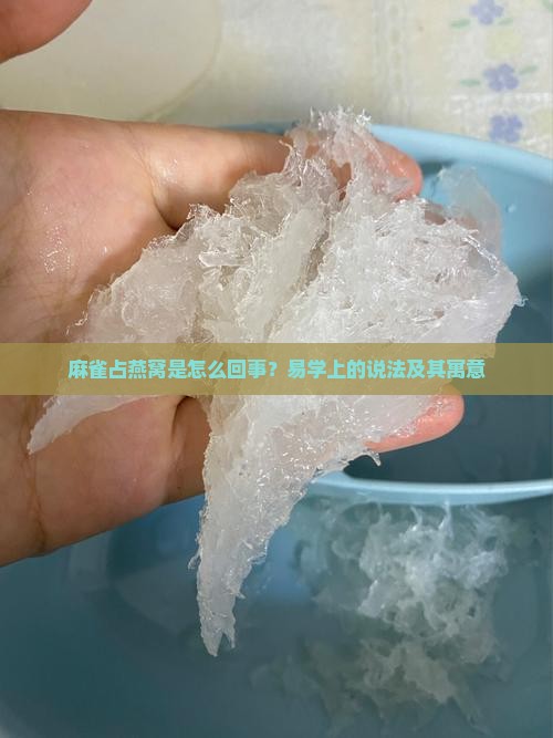 麻雀占燕窝是怎么回事