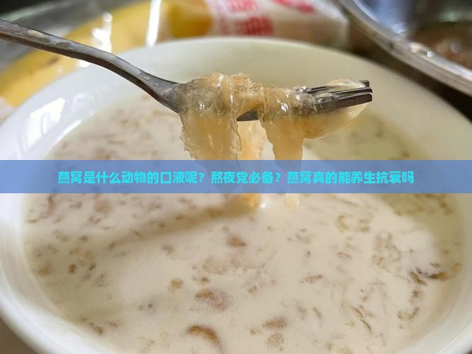 燕窝是什么动物的口液呢