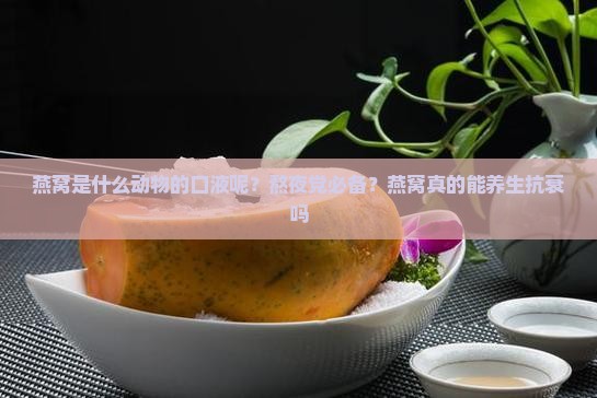 燕窝是什么动物的口液呢