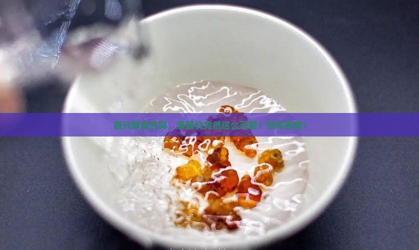 嘉兴即食燕窝价钱多少