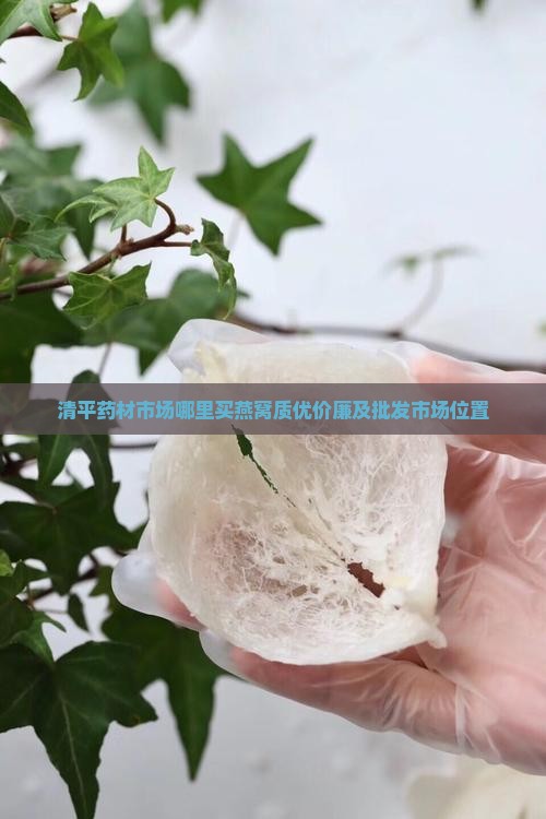 清平药材市场哪里买燕窝