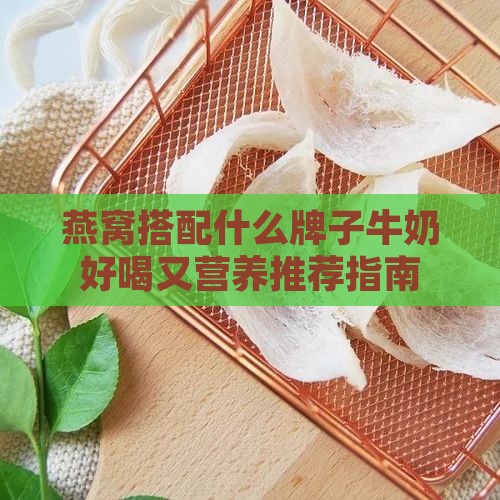 燕窝加什么牌子的牛奶