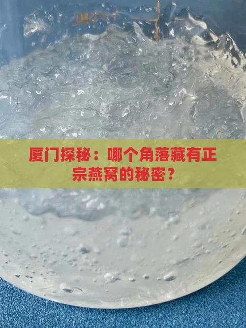厦门哪里可以买到真燕窝