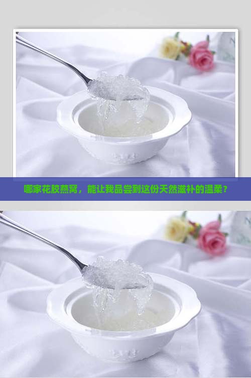 花胶燕窝什么牌子的好