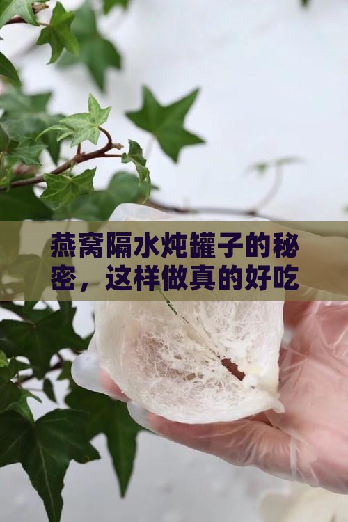 燕窝隔水炖罐子怎么做的